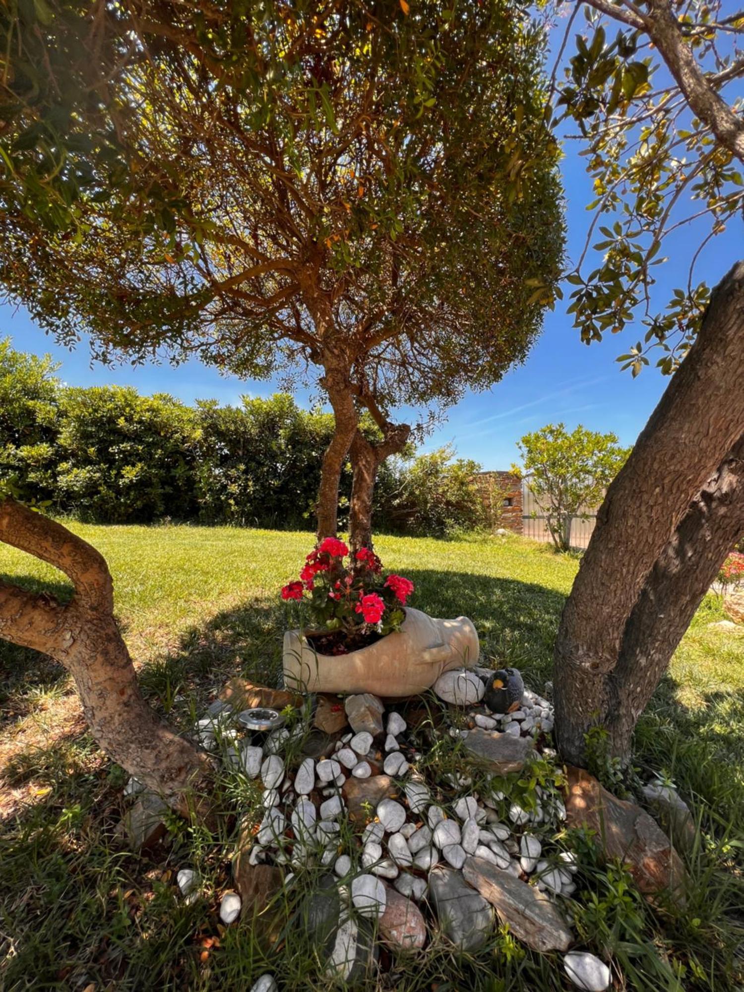 סטינטינו Villa Patrizia מראה חיצוני תמונה